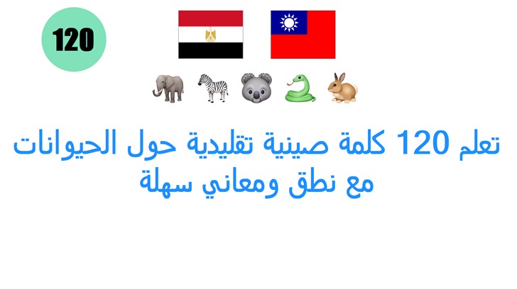 تعلم 120 كلمة صينية تقليدية حول الحيوانات مع نطق ومعاني سهلة